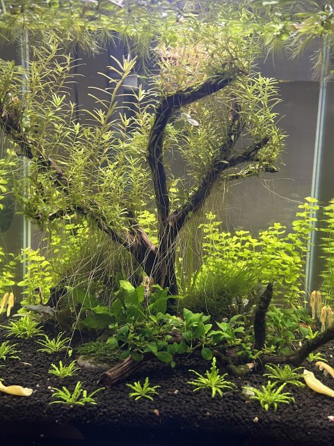 1719427375316.jpeg 1719427375316.jpeg