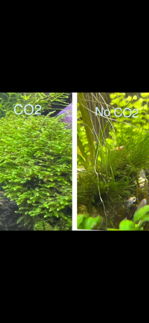 1719429099440.png 1719429099440.png