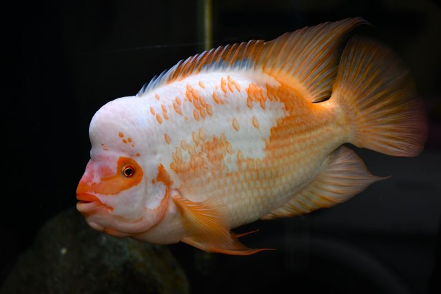 DSC_2328.jpg