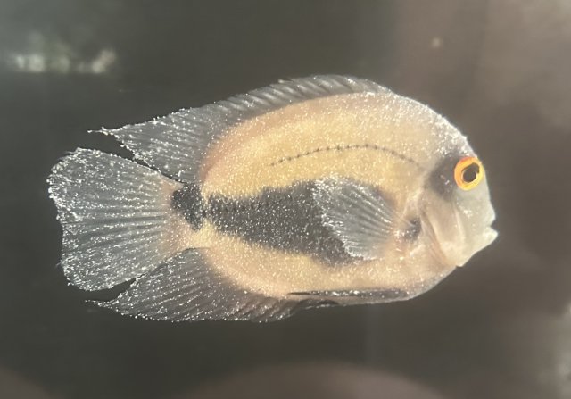 IMG_4040.jpeg IMG_4040.jpeg