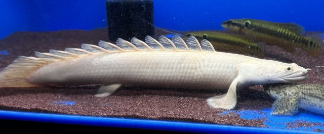 IMG_7511.jpeg IMG_7511.jpeg