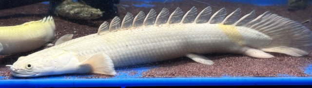 IMG_8078.jpeg IMG_8078.jpeg