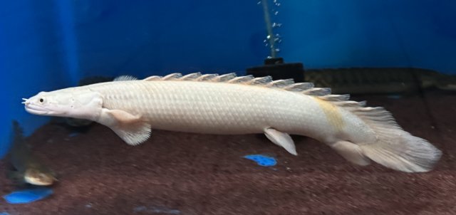 IMG_9618.jpeg IMG_9618.jpeg