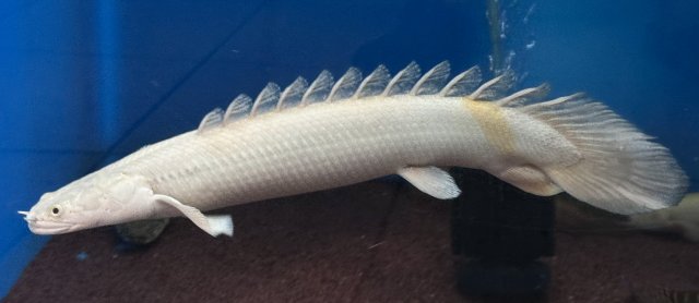 IMG_9628.jpeg IMG_9628.jpeg