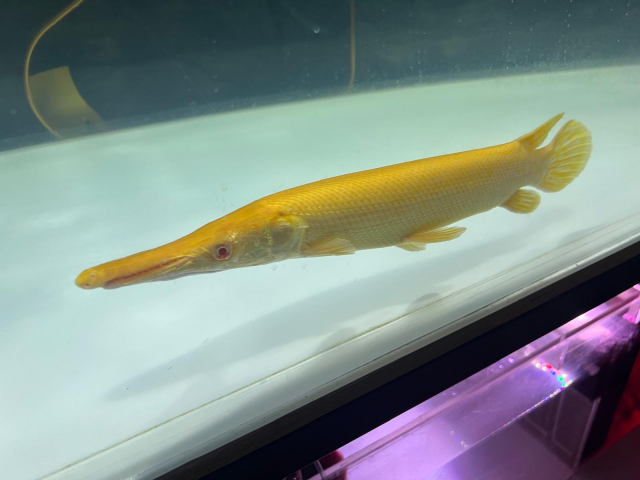 1721740101768.png 1721740101768.png