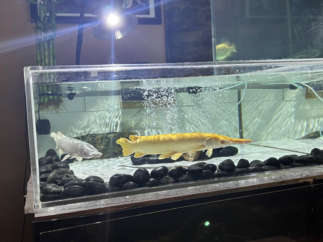 1721740112793.png 1721740112793.png