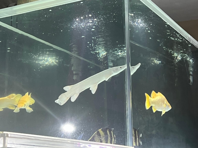 1721740320035.png 1721740320035.png