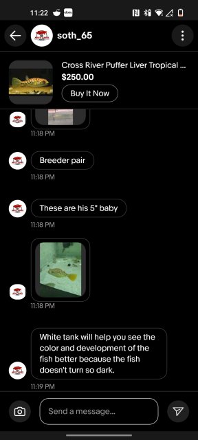 Screenshot_2024-07-26-23-22-18-82_260528048de7f2f358f0056f785be619.jpg