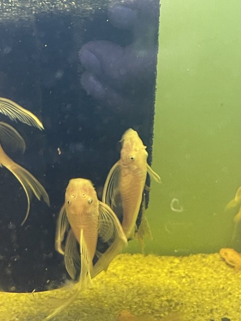 IMG_5822.jpeg IMG_5822.jpeg