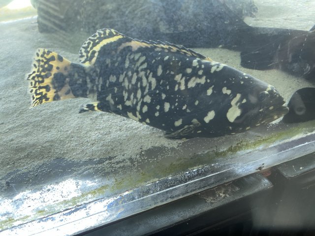 IMG_5547.jpeg IMG_5547.jpeg