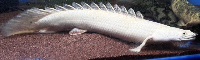 IMG_2942.jpeg IMG_2942.jpeg