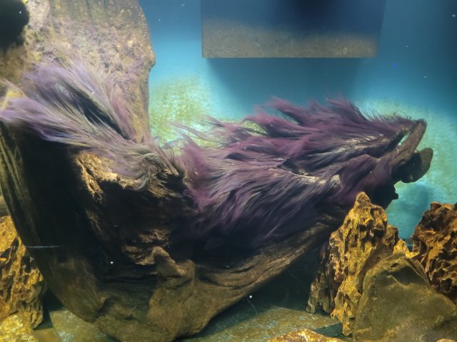 20230803_160215.jpg