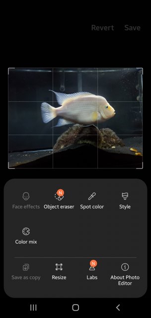 Screenshot_20240816-085706_Photo Editor.jpg