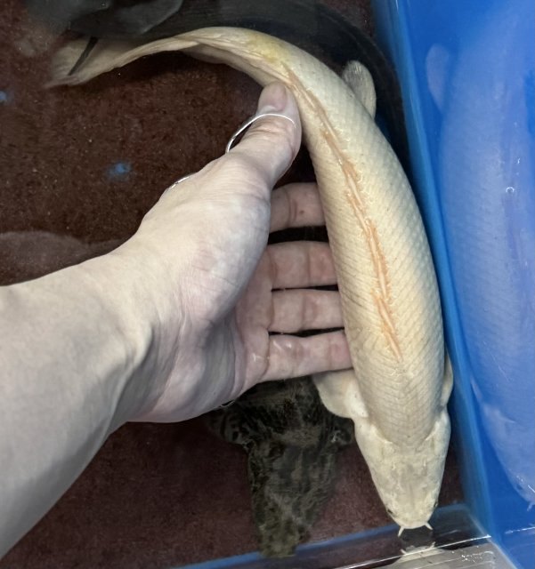 IMG_3947.jpeg IMG_3947.jpeg