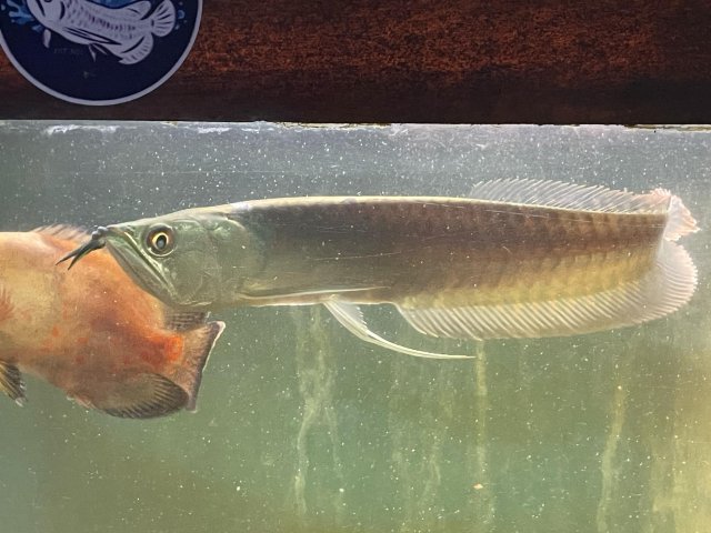 0EECC196-9EA3-40FD-B747-6FD3B2F02BD7.jpeg 0EECC196-9EA3-40FD-B747-6FD3B2F02BD7.jpeg