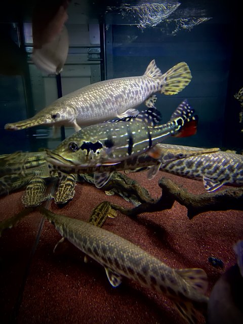 IMG_1812.jpeg IMG_1812.jpeg