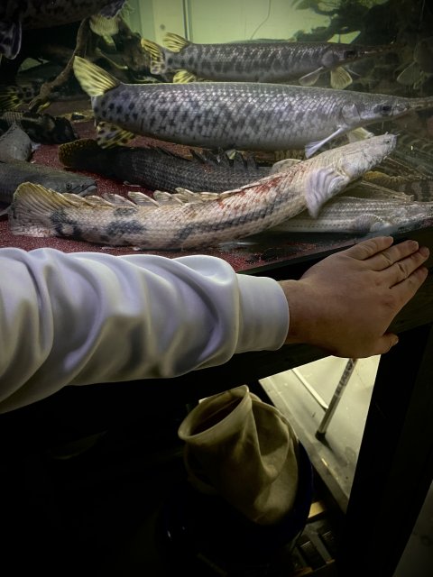 IMG_1351.jpeg IMG_1351.jpeg