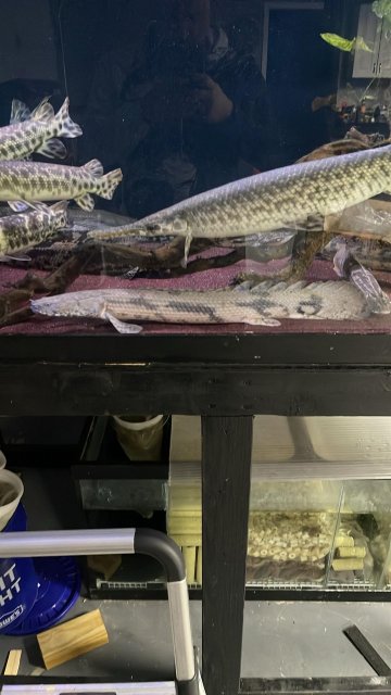 IMG_1355.jpeg IMG_1355.jpeg