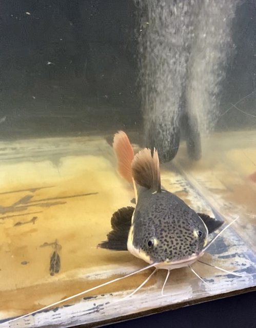 IMG_0523.jpeg IMG_0523.jpeg