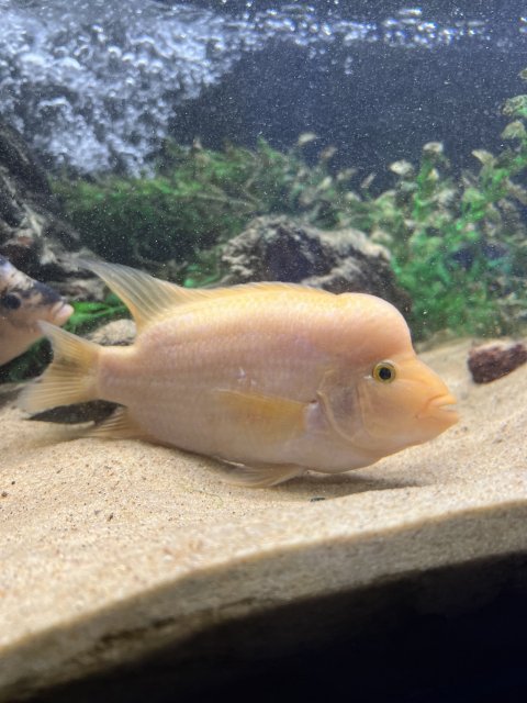 IMG_8602.jpeg IMG_8602.jpeg