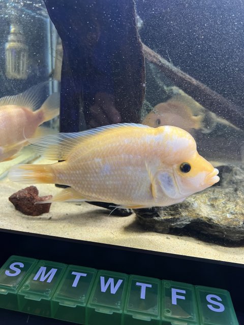 IMG_8601.jpeg IMG_8601.jpeg