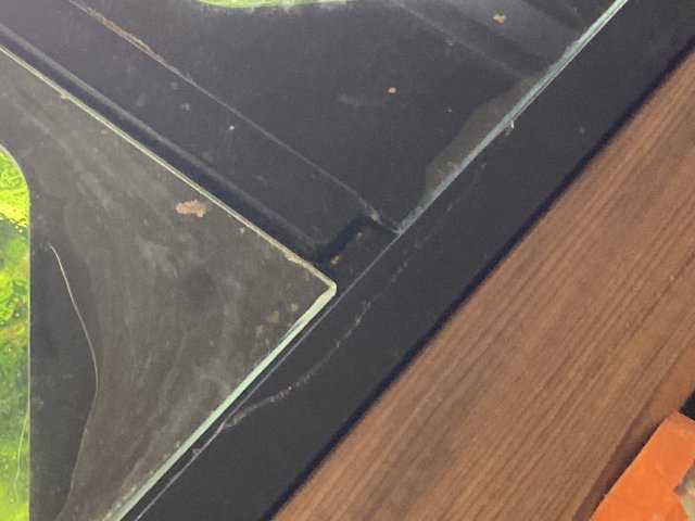 IMG_3405.jpeg IMG_3405.jpeg