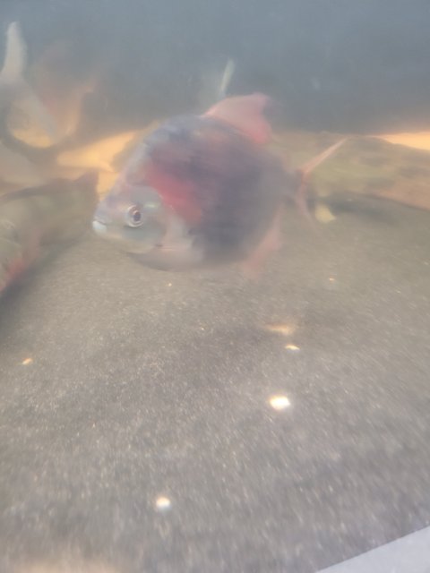 20240825_170302.jpg