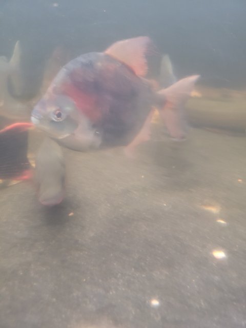 20240825_170303.jpg