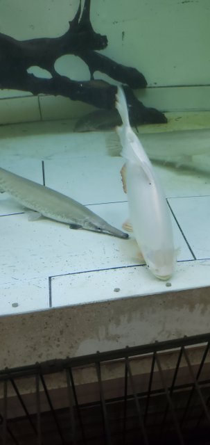 20240830_193107.jpg