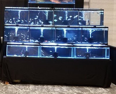booth 1.jpg booth 1.jpg