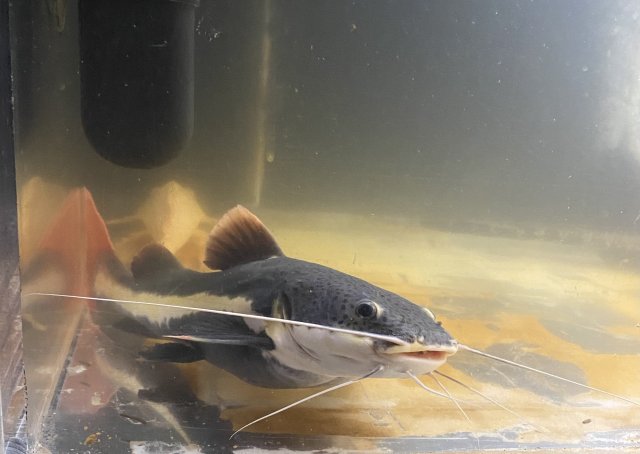 IMG_1193.jpeg IMG_1193.jpeg