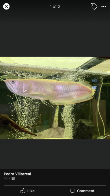 IMG_5898.png IMG_5898.png