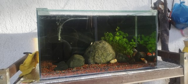 IMG_20240930_163033.jpg IMG_20240930_163033.jpg