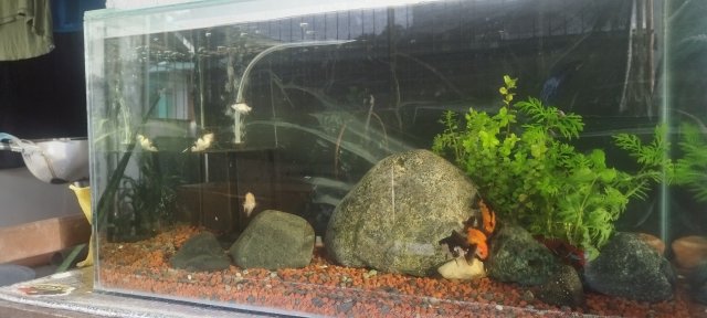 IMG_20240930_162954.jpg IMG_20240930_162954.jpg