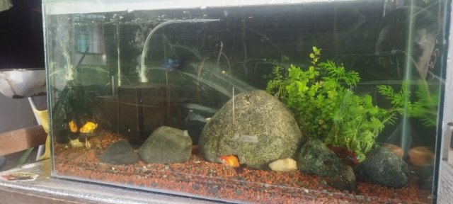 IMG_20240930_162936.jpg IMG_20240930_162936.jpg