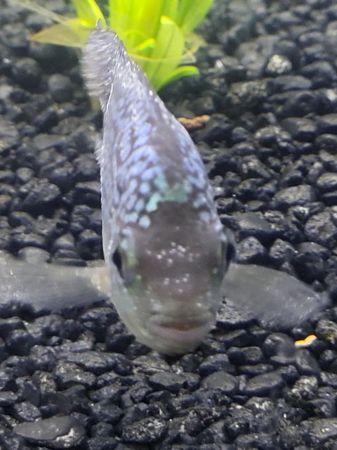 1000007878.jpg 1000007878.jpg