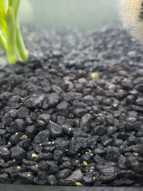 1000007876.jpg 1000007876.jpg