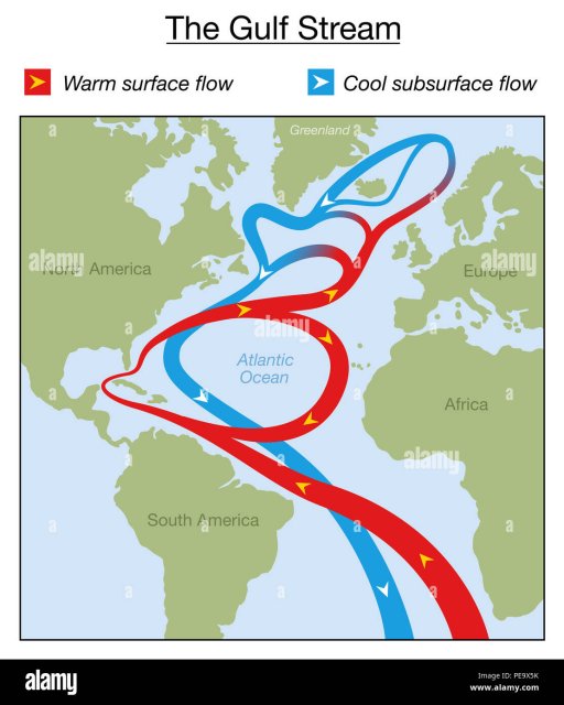 gulf-stream-chart-warm-surface-and-cold-subsurface-flow-in-the-atlantic-ocean-between-north-an...jpg