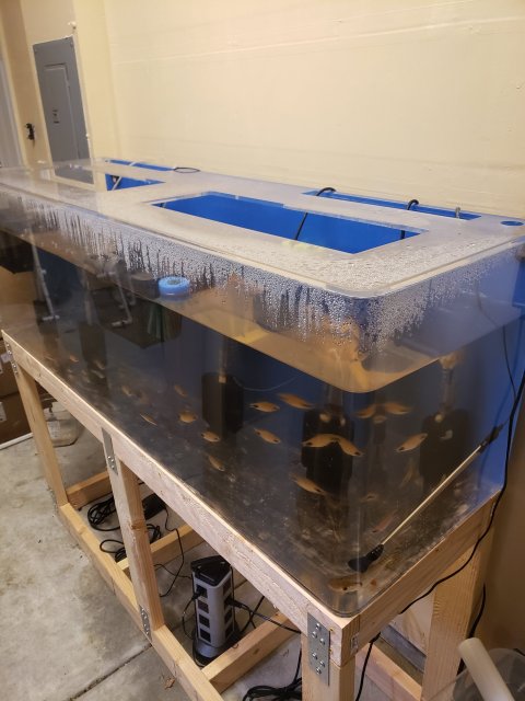 20241002_190813.jpg 20241002_190813.jpg