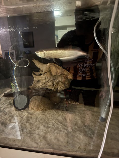 IMG_3878.jpeg IMG_3878.jpeg