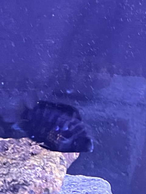 IMG_2405.jpeg IMG_2405.jpeg