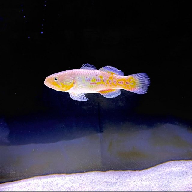 IMG_9206.jpg IMG_9206.jpg