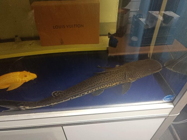 0ccf8a96e05da09670be2d4613f3bd95.jpeg 0ccf8a96e05da09670be2d4613f3bd95.jpeg