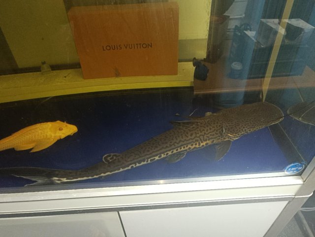 ca715b9cba2cd7095a7644d27ff1019e.jpeg ca715b9cba2cd7095a7644d27ff1019e.jpeg