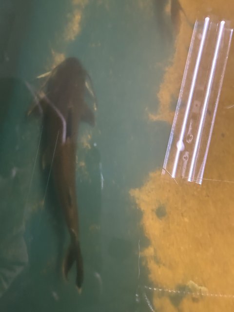 IMG_9925.jpeg
