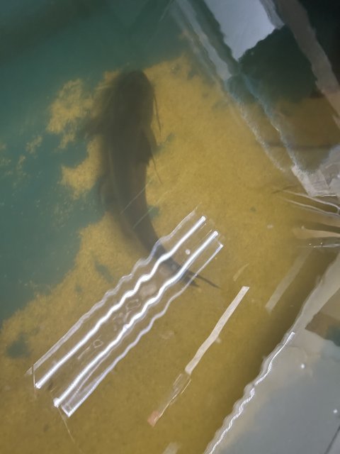 IMG_9923.jpeg
