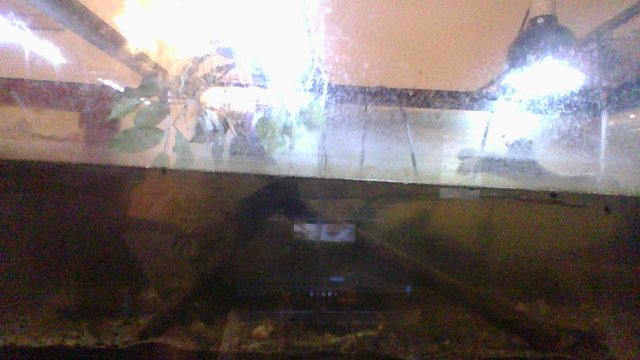 IMG_20241108_085918.jpg