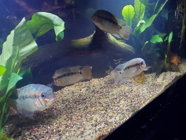 20241115_214116.jpg 20241115_214116.jpg