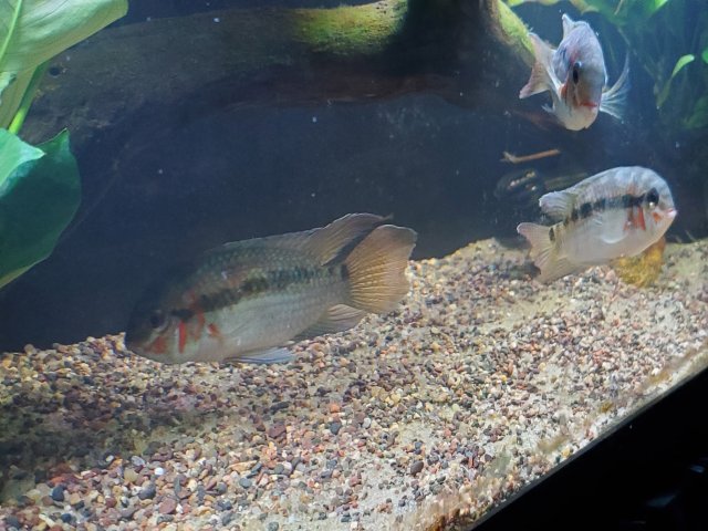 20241115_214311.jpg 20241115_214311.jpg