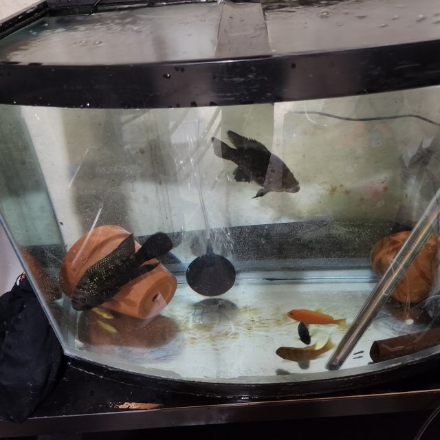 1000024459.jpg 1000024459.jpg